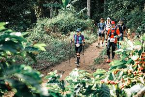 BIB: 
                            <button type="button" onclick="openModal(25852671)" class="btn btn-primary btn-sm float-right btn-popup" data-toggle="modal" data-target=".modal-high-quality">
                        <i class="fas fa-shopping-cart"></i> Add to Cart
                    </button>
                                            <button type="button" onclick="isThisMe(25852671, true)" class="btn btn-success btn-sm float-right btn-popup btn-isme hidden" data-toggle="tooltip" data-placement="bottom" title="นี่คือรูปของคุณใช่ไหม คลิกที่นี่เพื่อเอาเข้าอัลบั้ม">
                        <i class="fas fa-plus"></i> Add to album
                    </button>
                    <button type="button" onclick="isThisMe(25852671, false)" class="btn btn-warning btn-sm float-right btn-popup btn-isnotme hidden">
                        <i class="fas fa-ban"></i> Remove from album
                    </button>